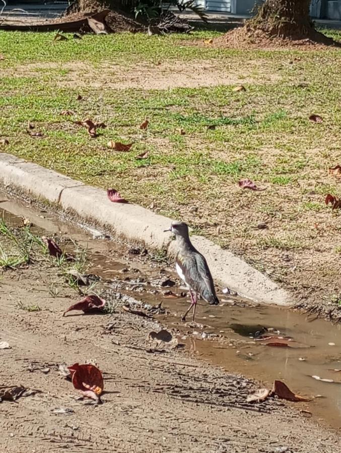 Pousada 5 Cachoeiras Ubatuba Buitenkant foto