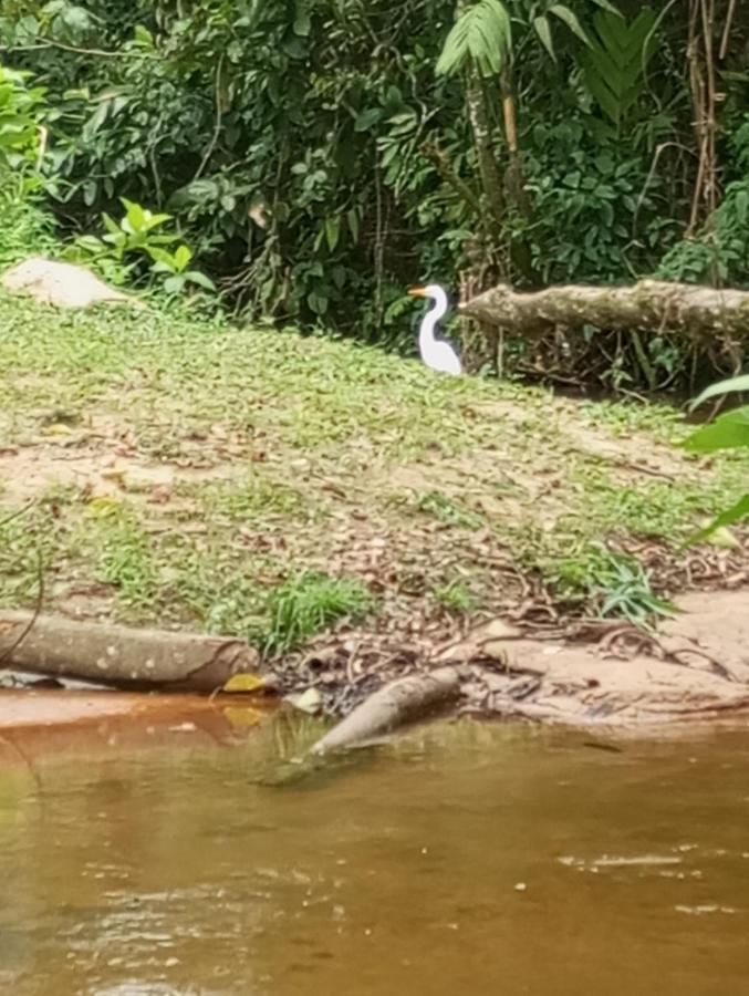 Pousada 5 Cachoeiras Ubatuba Buitenkant foto