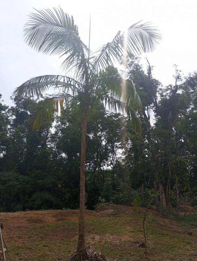 Pousada 5 Cachoeiras Ubatuba Buitenkant foto