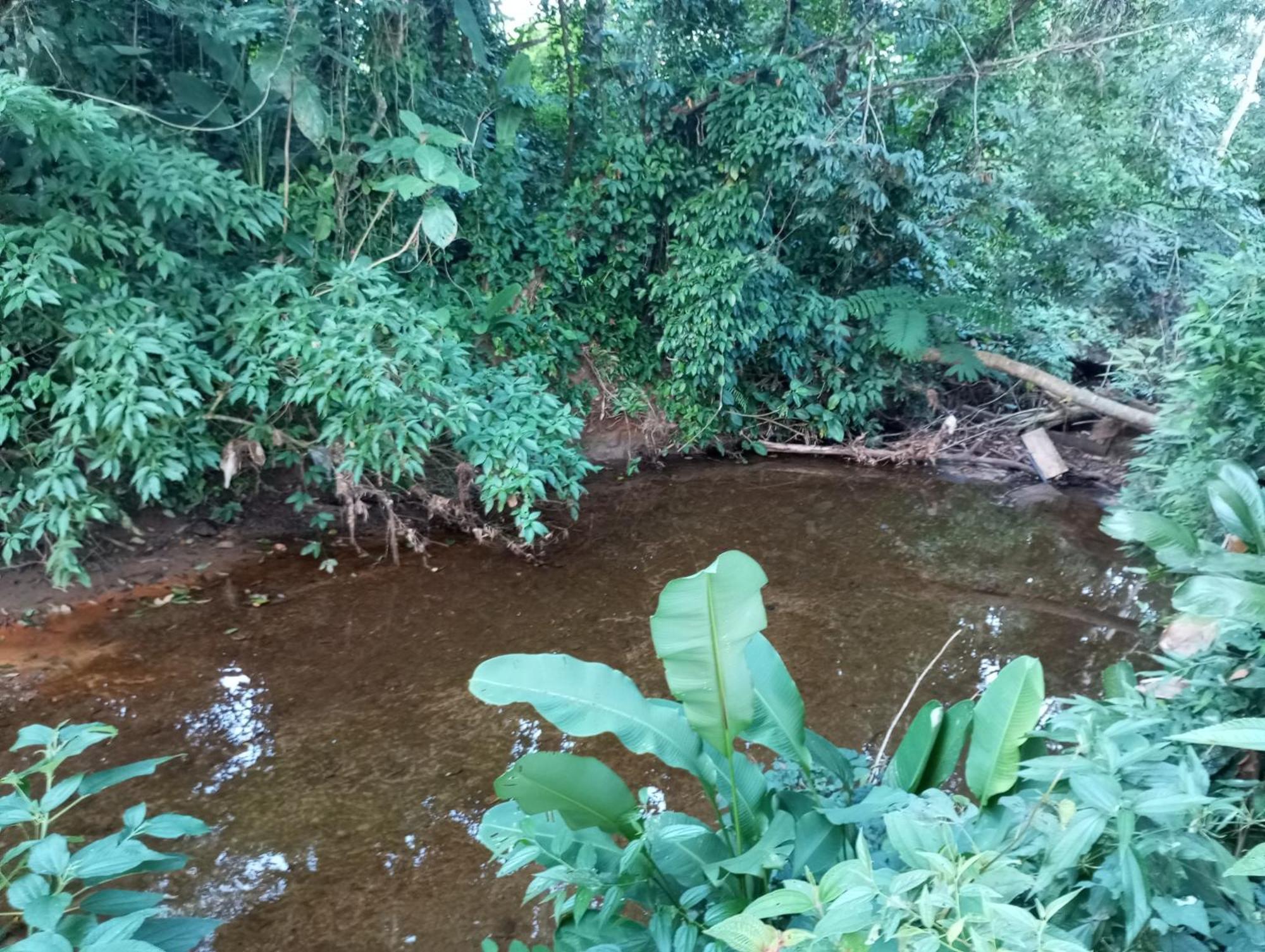 Pousada 5 Cachoeiras Ubatuba Buitenkant foto